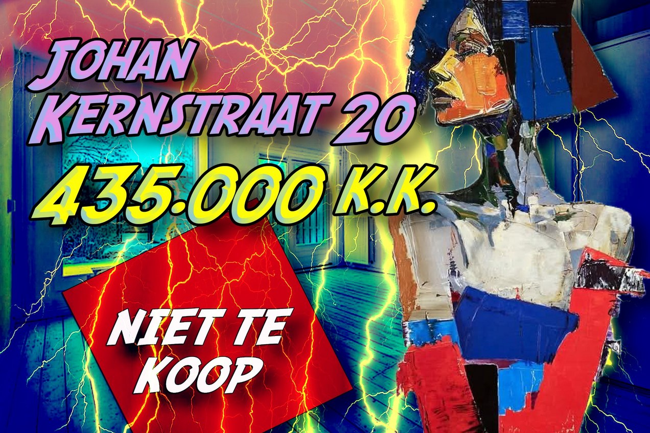 Affiche voor actie 206 van Niet te Koop.